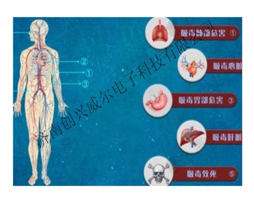 4D吸毒危害演示互动