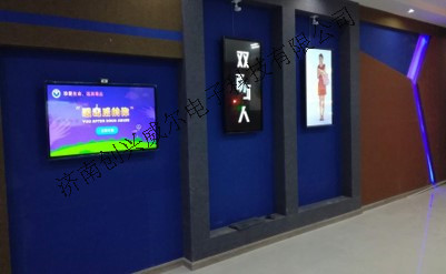 雙面人